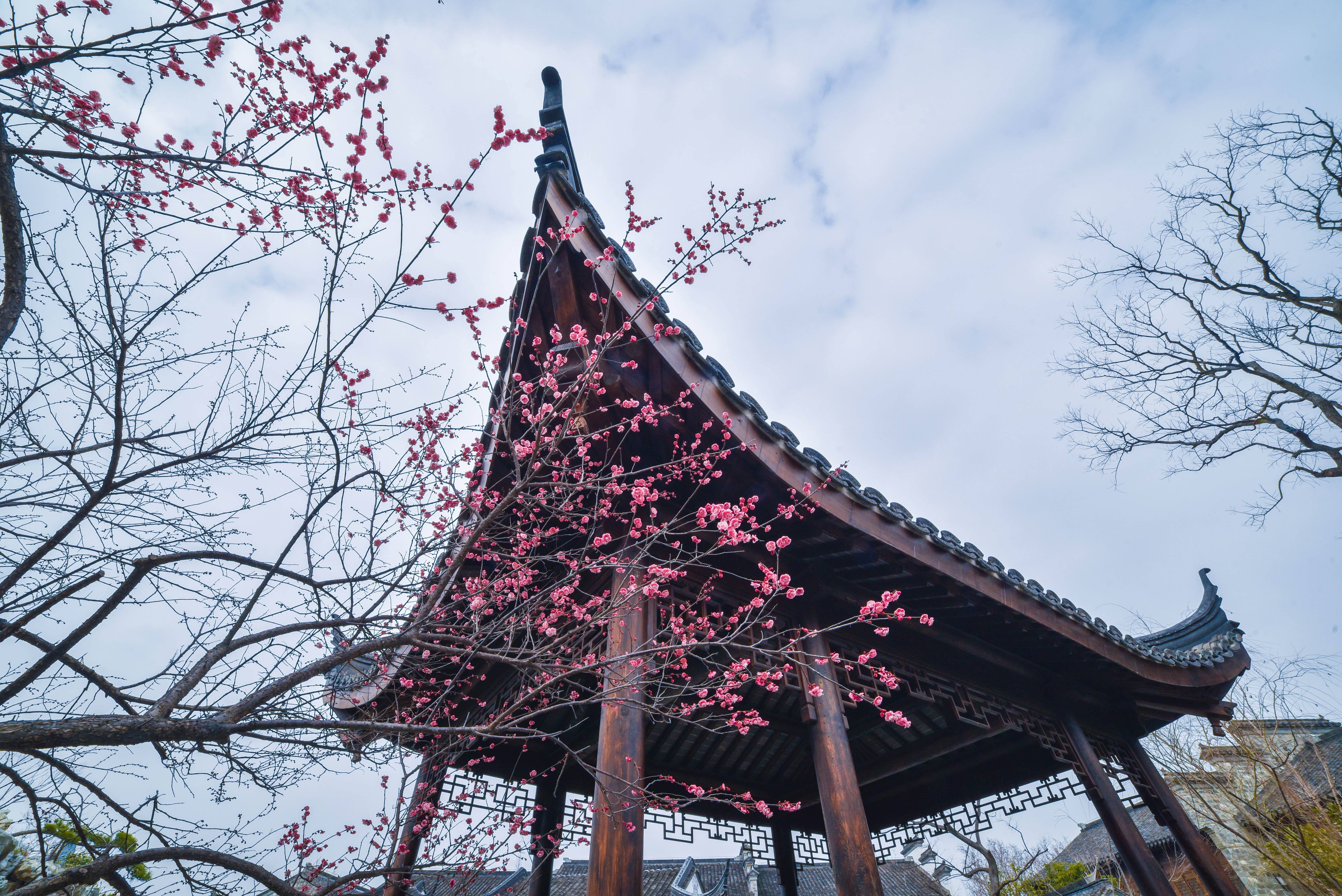 南京为什么叫金陵古都,南京金陵小区到老门东怎么走