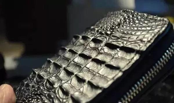 怎样辨别鳄鱼皮具,鳄鱼皮具最新视频