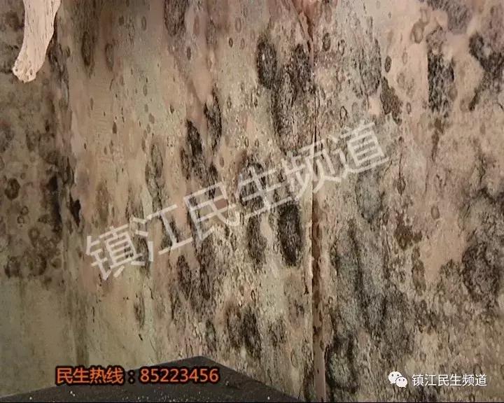 60多万在宝龙花园买的房子,记者进屋看了一眼差点吐了!