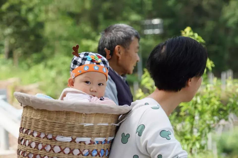 大山里的烟火人家,大巴山区通江县
