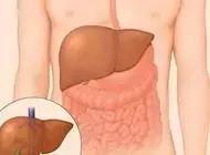 解密身体健康密码 (个人健康解码方法)