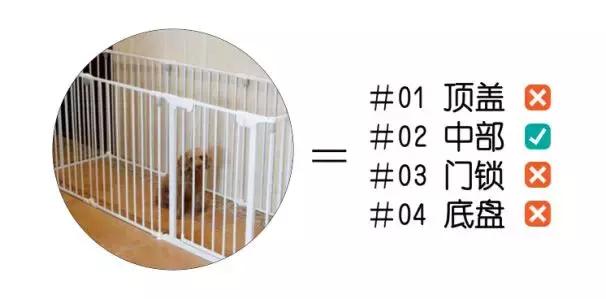 狗窝趣事,农村防寒狗窝