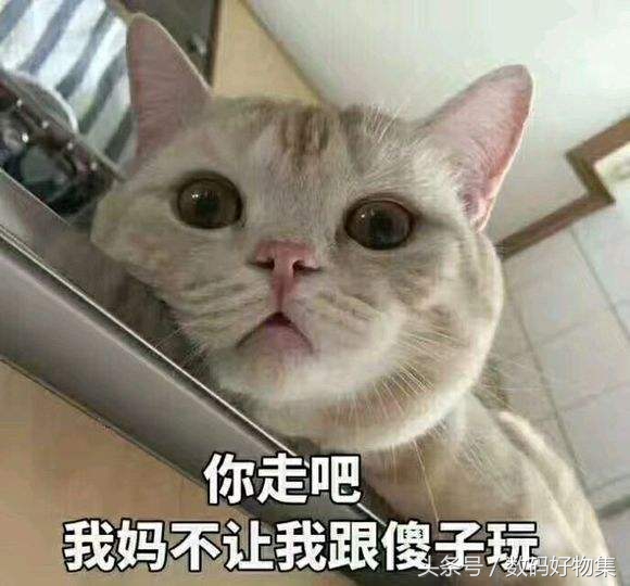 3分钟设置完成新手机，再也不用一个一个*载下**软件和联系人