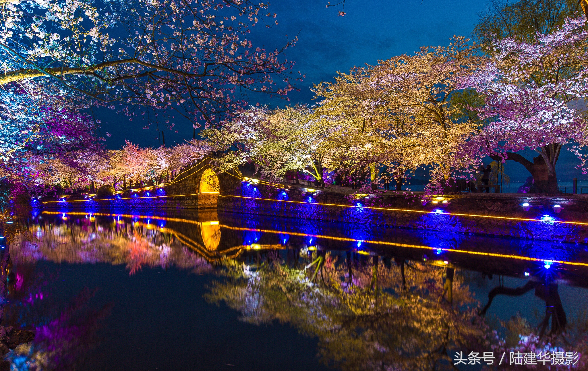 太湖赏樱花鼋头渚旅行攻略,太湖鼋头渚风景区看樱花旅游攻略