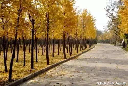 郑州人真正的后花园,郑州人少环境好的地方