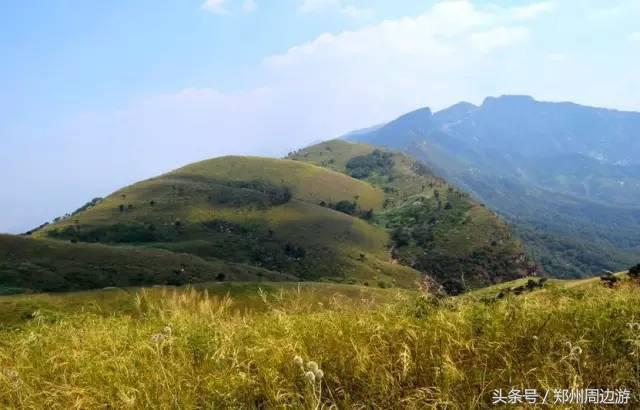 河南漯河自驾游必去十个景点,河南省内一日游景点自驾游