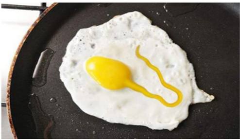 胜者为王败者为奴隶,胜者为王败者为奴