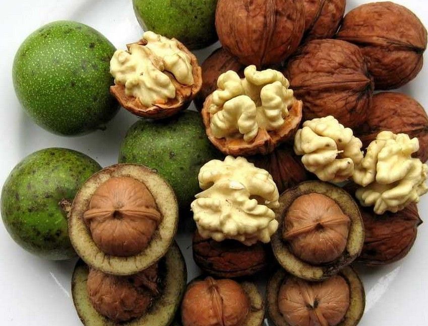 春暖花开种花生,春暖花开种子