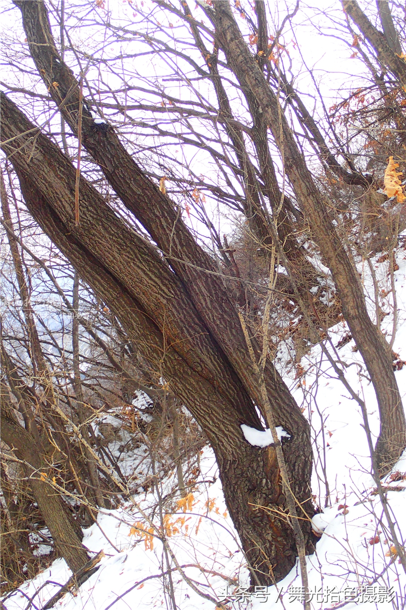 本溪关门山徒步攻略,边走边拍风景视频素材