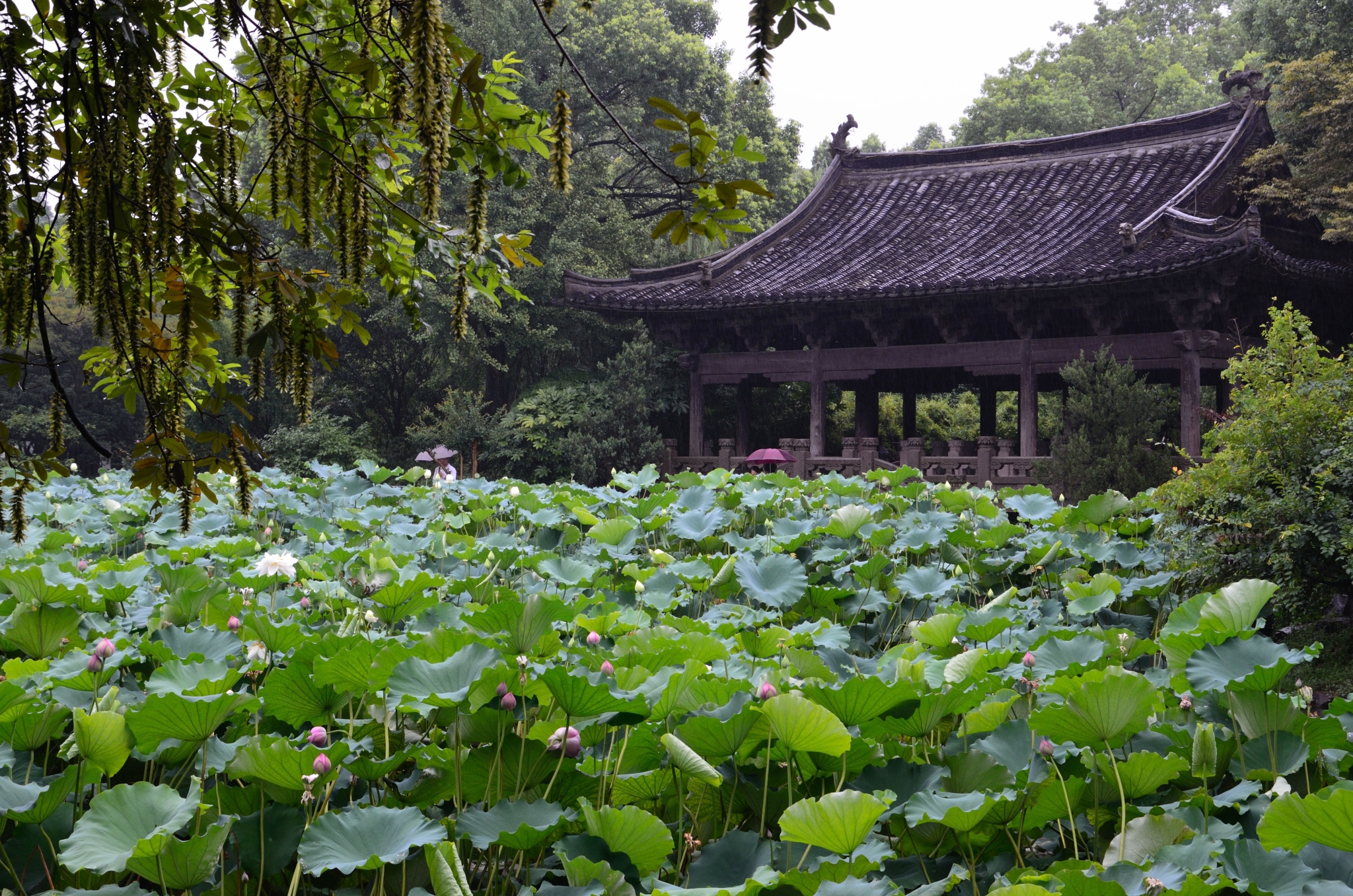 绍兴园林有哪些,浙江绍兴园林在哪里