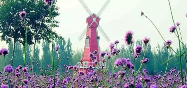 十二星座最适合去的地方苏州,最适合十二星座旅游的城市