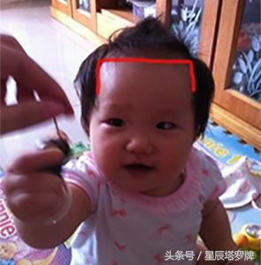 额头看人的福气命运,什么样的额头容易发财