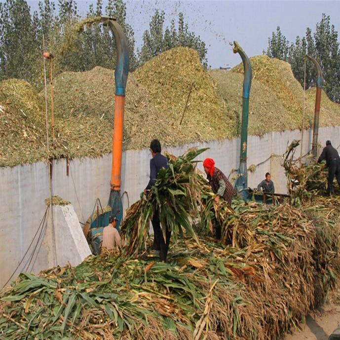 农村人创业什么项目好,在农村如何创业赚钱