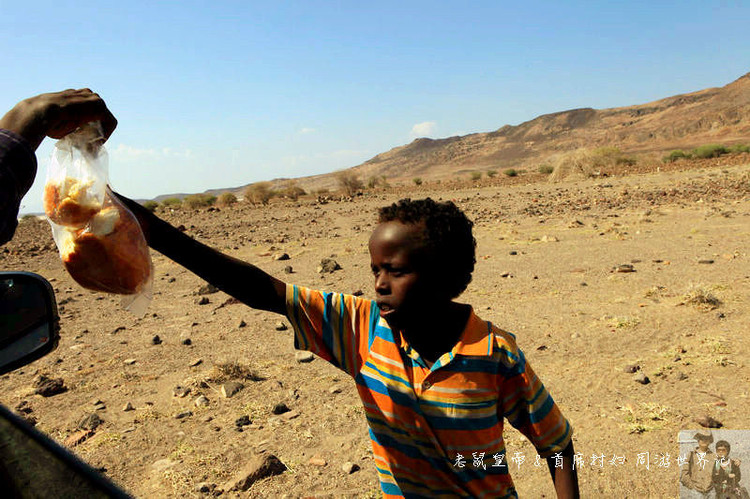 吉布提神奇的阿法人：姑娘在沙漠里放羊，男人的胡子染成红、黄色