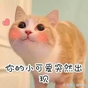 海淘鞋子尺码怎么选择适合,海淘鞋码对照表怎么看