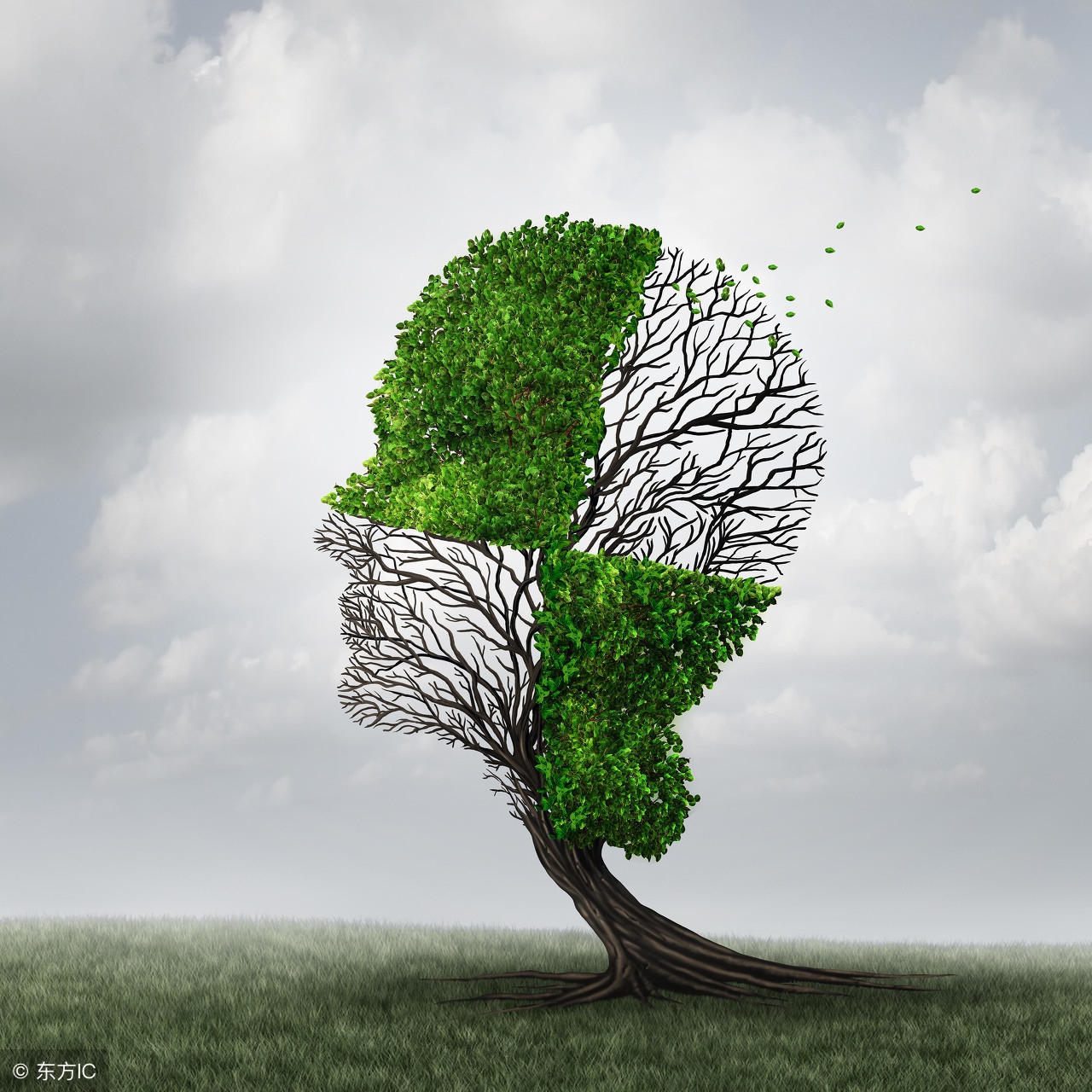 相信天意不如相信自己,相信命运还不如相信自己