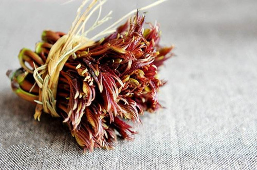 韭菜鸡蛋炒河虾家常菜做法,韭菜炒小河虾真是绝配鲜甜味美