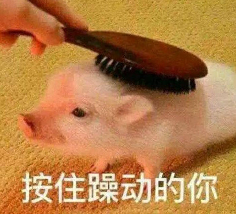 QQ飞车手游开学季，“妈妈我想要A车”