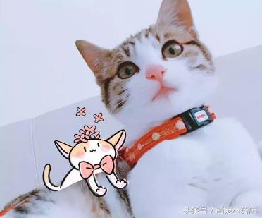 感谢你陪我走过人生这段路,感谢你陪我走在人生的低谷