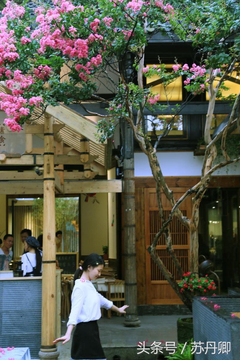 繁花宽窄巷子,宽窄巷子攻略和景点