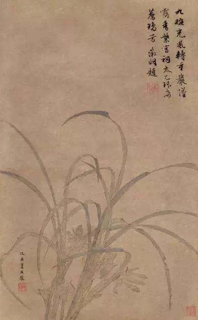 鉴赏历代名家画兰花30幅中国画,历代名家兰花作品