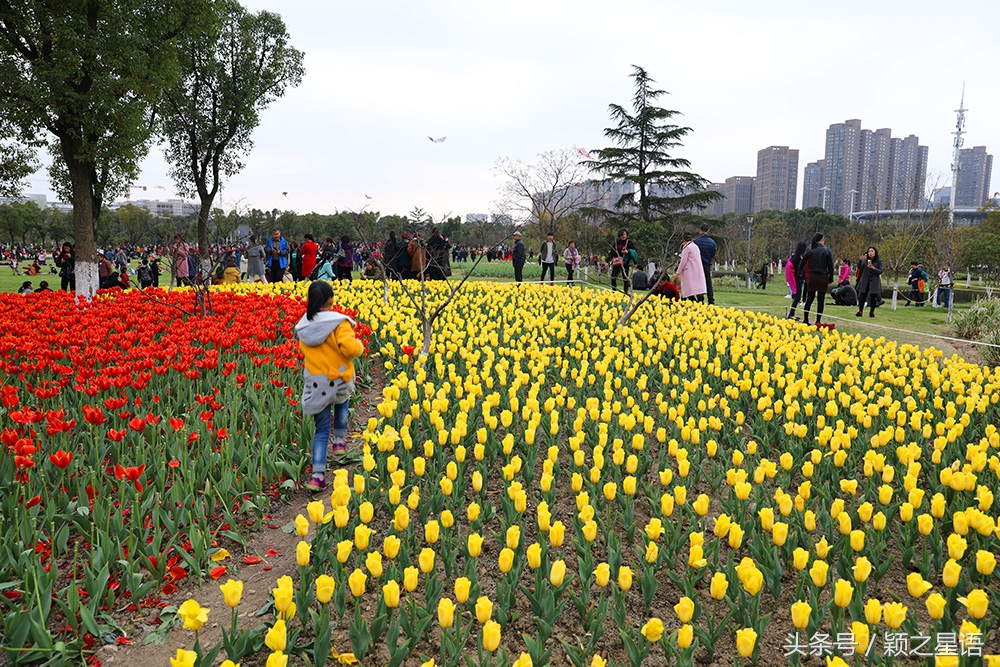 宁波院士公园最新消息,宁波院士公园现在花还开着吗