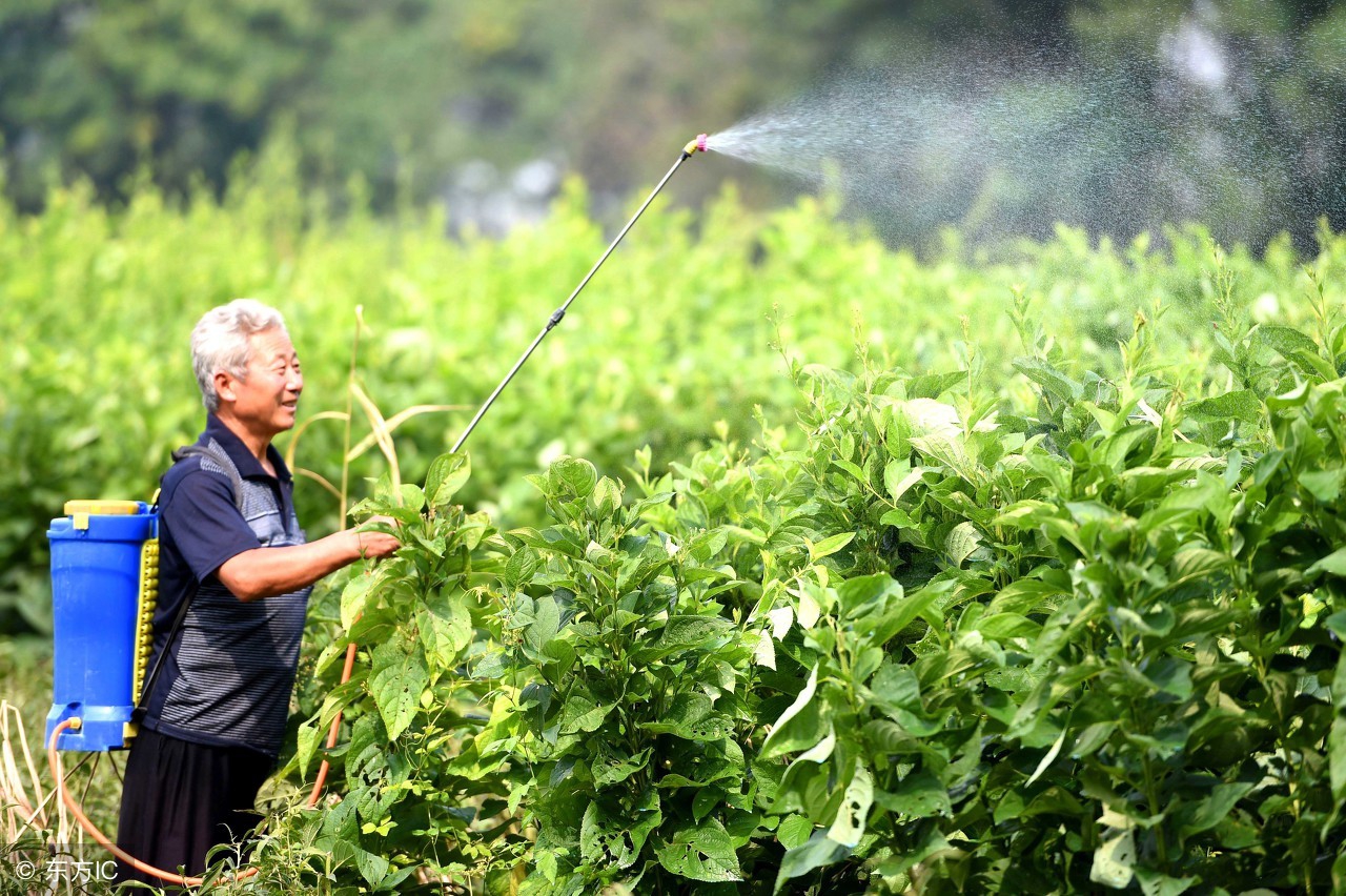 农村创业项目成功的两个必备条件,农民缺钱怎么办