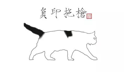 猫谱:因相成名,因名成谱《蓝毛毛找猫》24:猫出有名