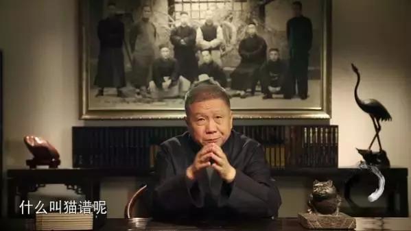 猫谱：因相成名，因名成谱《蓝毛毛找猫》24：猫出有名