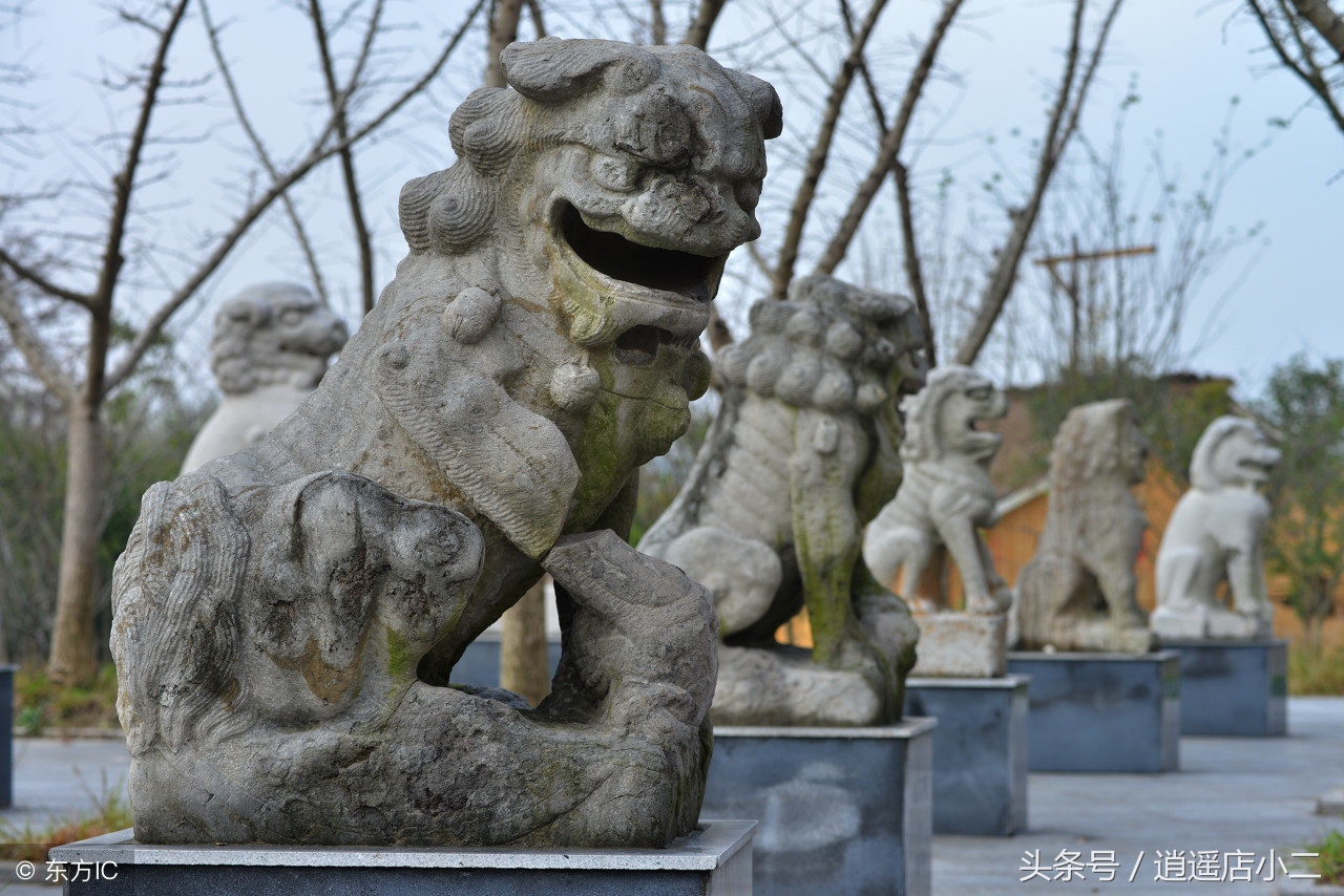 80后夫妻创业做熟食,80后夫妻创业