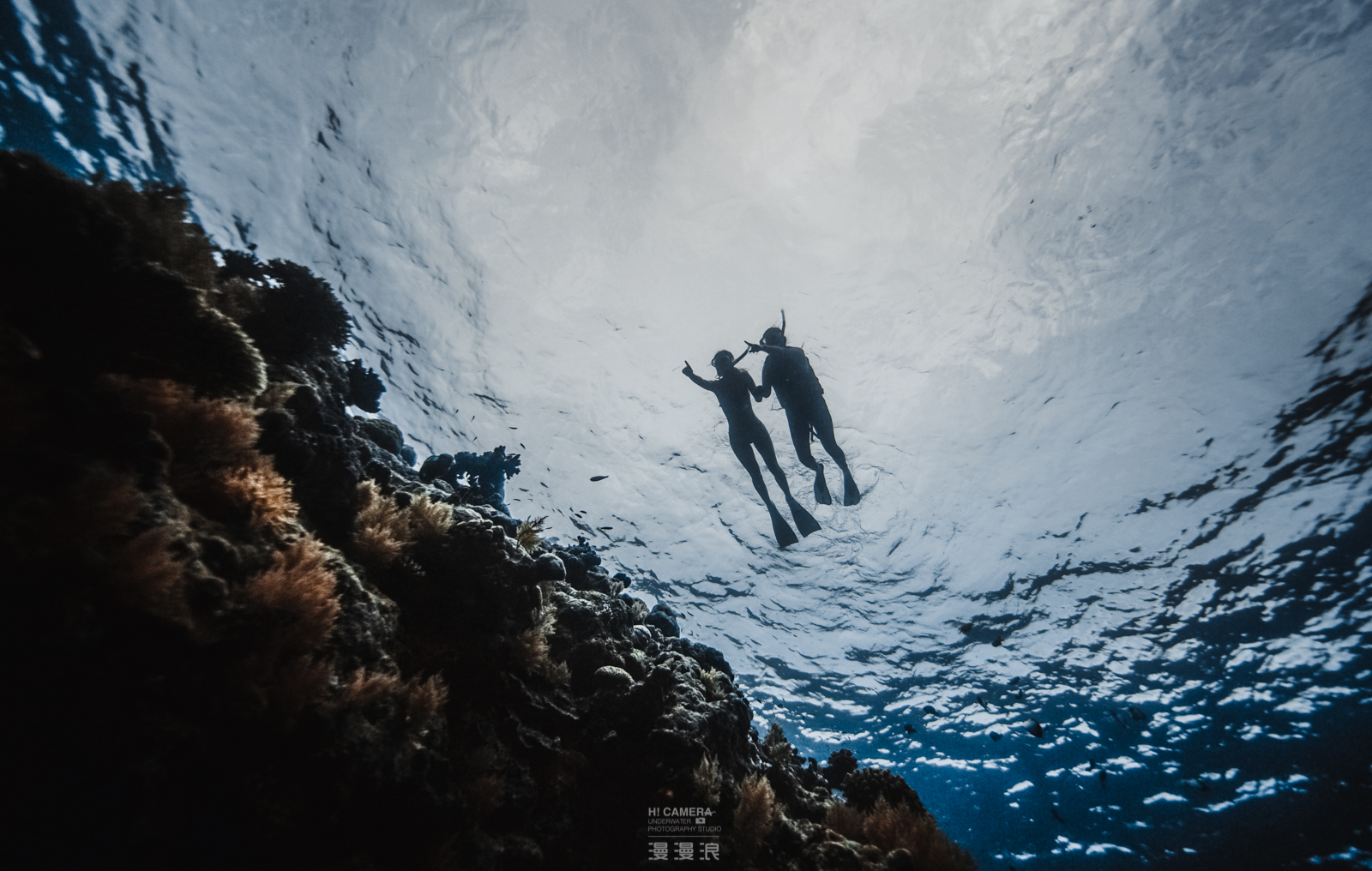 经常熬夜的人！一定要来帕劳看看！用帕劳蓝治愈你的失眠焦虑！