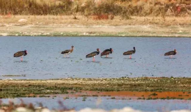 水映京城:千年古都水之梦