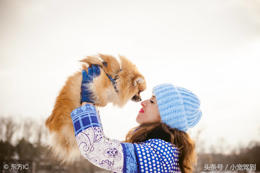 如何避免宠物影响你的*生活性**？