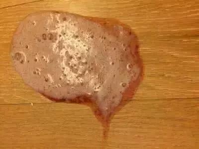 狗狗想呕吐却吐不出来什么原因,狗狗吐白沫黏液抽搐呕吐怎么办