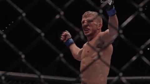 特别出名的广告店名称,最近很火的广告店名称