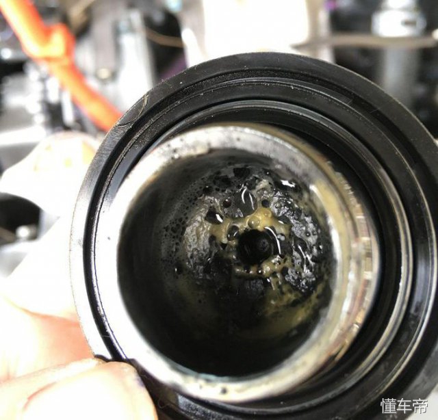 全面沦陷原创,全面沦陷分析