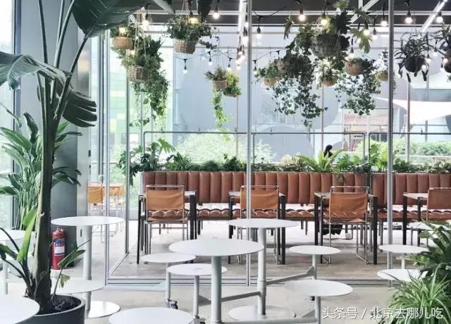 北京去哪里吃美食便宜,北京去哪里吃美食最好