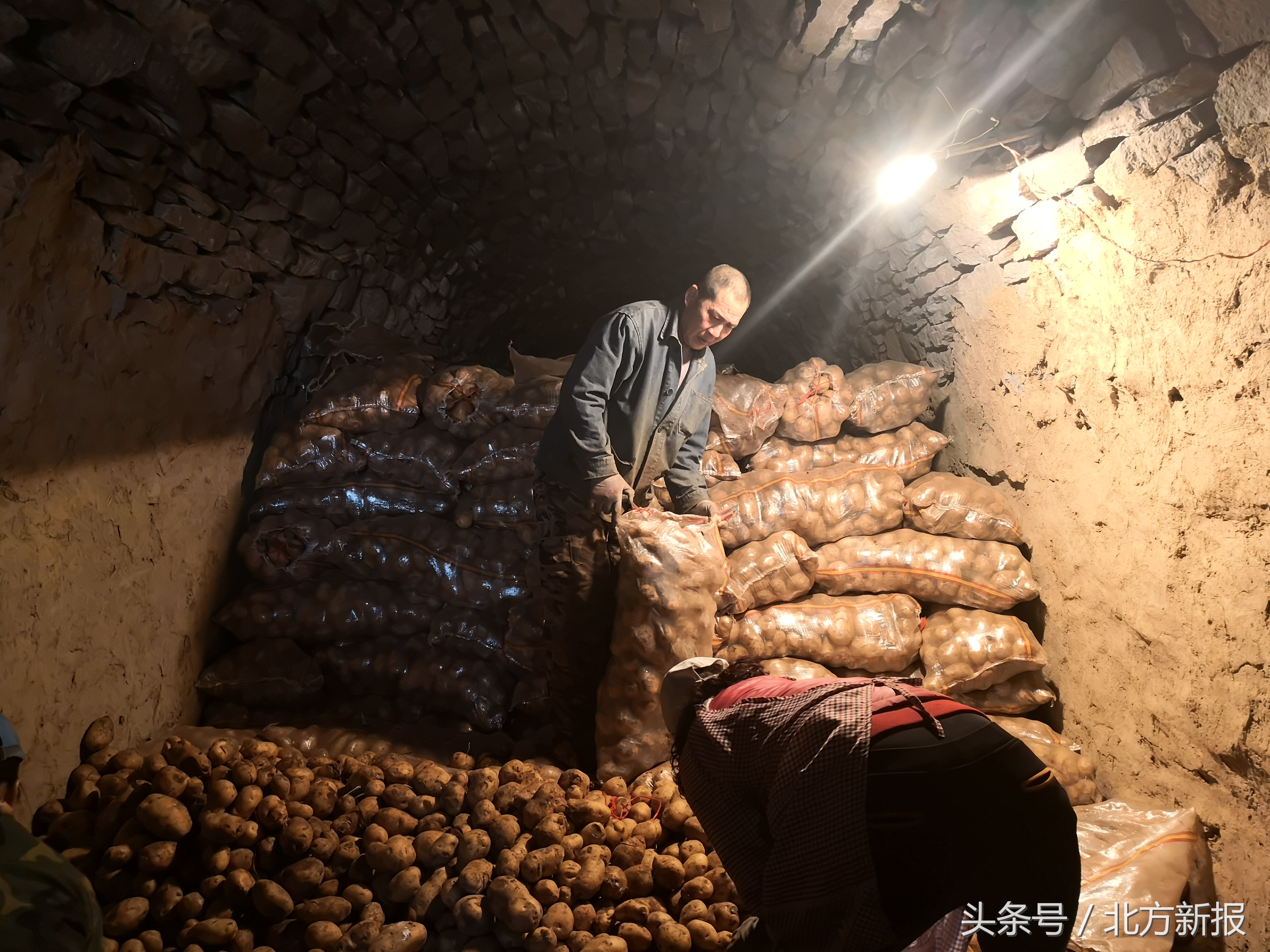 呼和浩特土豆批发送货,呼和浩特市武川县金三角土豆基地
