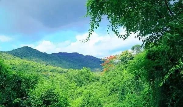 保亭七仙岭雨林仙境温泉度假别墅,海南保亭雨林仙境山湖墅