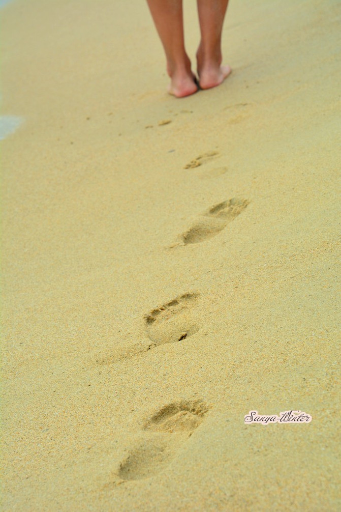 相约海之南歌曲,浪漫走天涯相约海之南