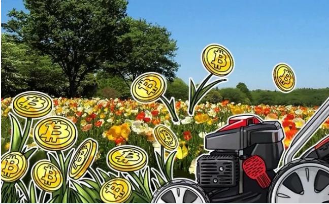 币圈k线入门基础知识,币圈入门基础知识课程视频