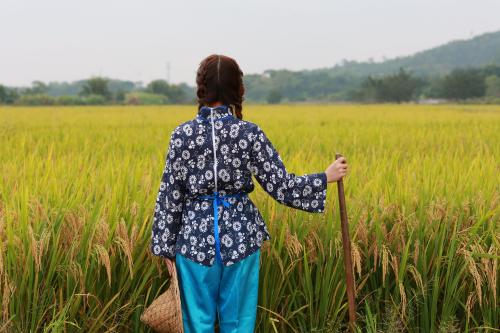青苹果原创歌曲,青苹果原创