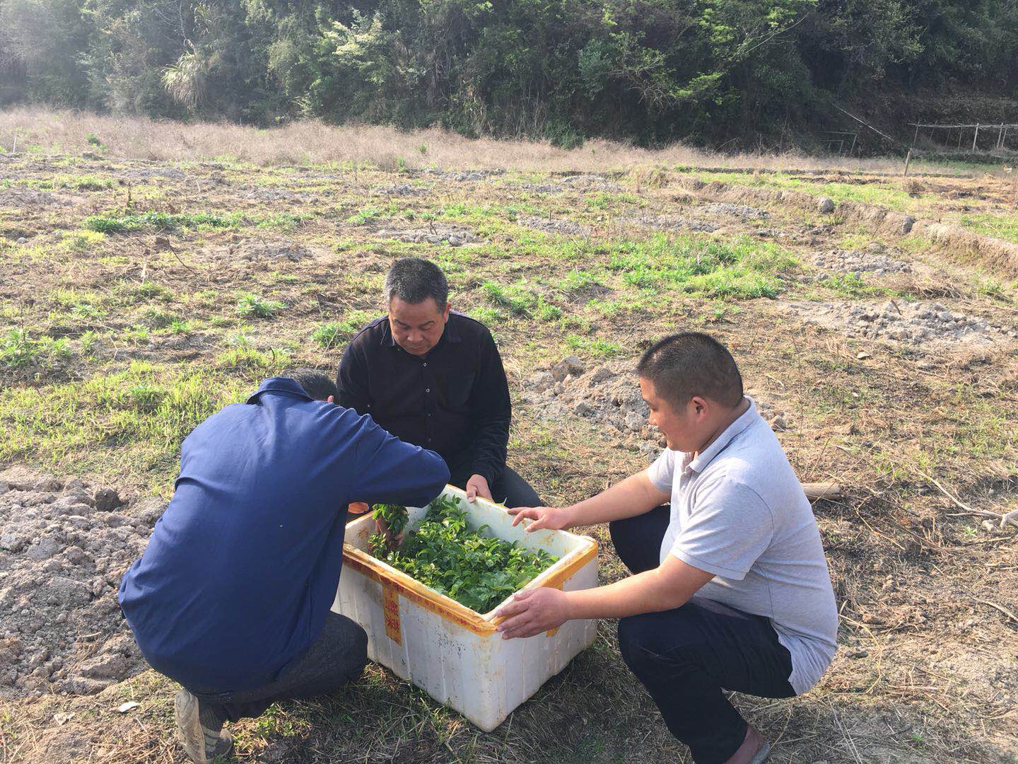 江西农村网红中专生,农村农民网红