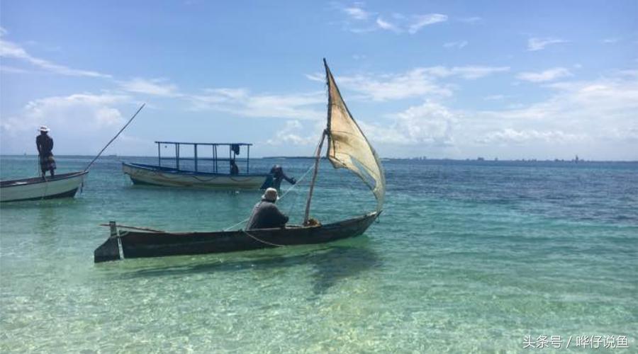 养三湖慈鲷的鱼缸,什么鱼缸适合养三湖慈鲷