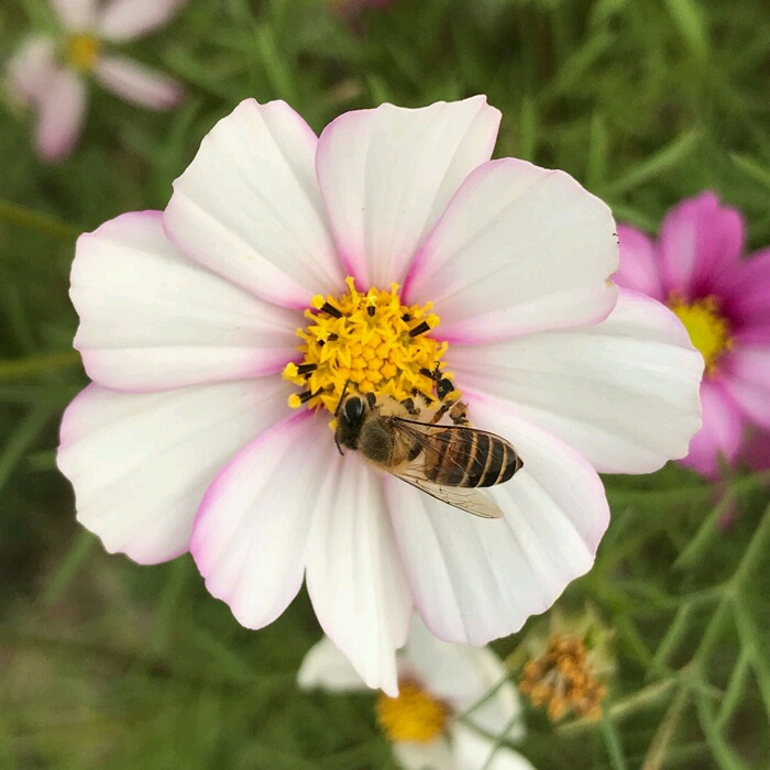 海珠湖国家湿地公园钓鱼,海珠湖国家湿地公园开放时间