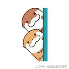 水獭与海獭哪个更可爱,萌动物科普