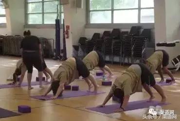 美国私营监狱有多赚钱,国外私人监狱怎么盈利