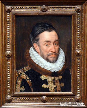 荷兰郁金香风光,维也纳冬天的花