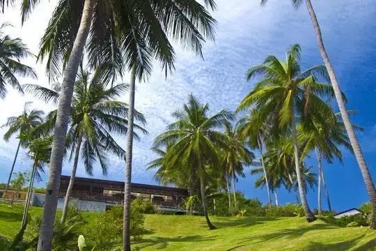 全球热门海岛选岛攻略！你最中意哪个？