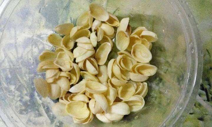 开心果吃完不要扔,开心果可以做哪些实验